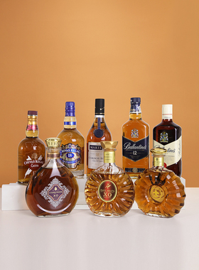 洋酒瓶空瓶摆件装饰品创意仿真红酒瓶子拍照道具高档酒柜轻奢摆设