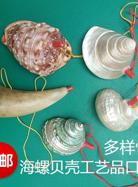 天然海螺贝壳蝾螺螺号儿童玩具