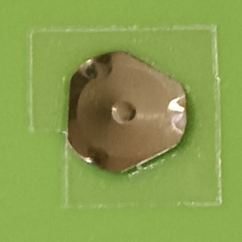 锅仔片按键 透明贴纸pet（8*10mm）弹片三角形6mm-350gf支持定制