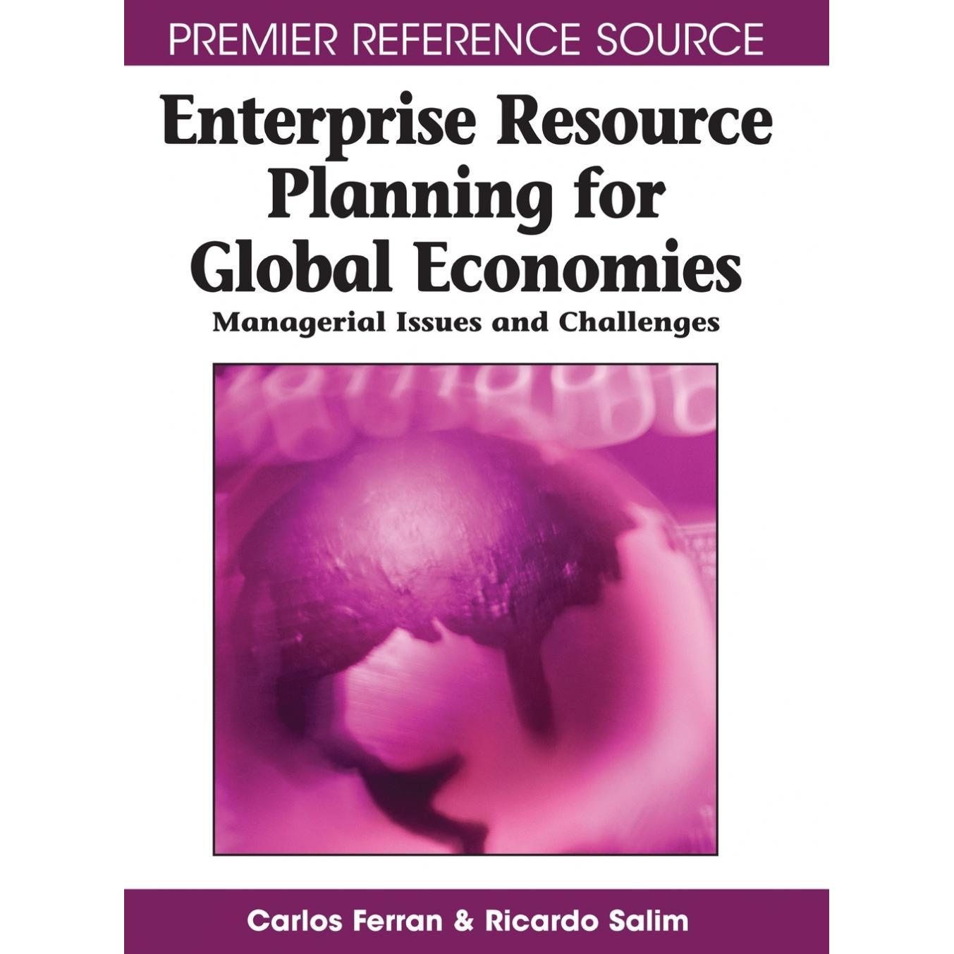 【预售 按需印刷】英文原版全球经济体的企业资源规划Enterprise Resource Planning for Global Economies原装进口正版书籍