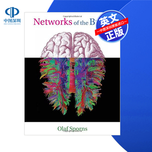 预售 进口英文正版 大脑 书籍 网络 Networks Brain the 按需印刷