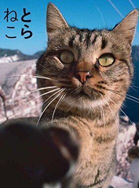 现货【深图日文】とらねこ虎猫 (IWAGO'S BOOK) 岩合光昭 猫猫 萌猫 動物写真 动物写真 日本原版进口写真