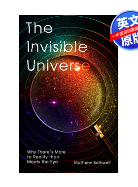 英文原版 看不见的宇宙 The Invisible Universe: Why There's More to Reality than Meets the Eye 进口英文版正版书籍