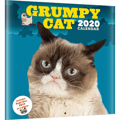 暴躁猫贴纸海报集画集 不爽猫艺术挂历 英文原版进口日历 Grumpy Cat 2020 Wall Calendar 周边