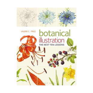 英文原版 植物插图10个课程：色彩和构图 技巧设计指南艺术书 Botanical Illustration The Next Ten : Colour and Composition