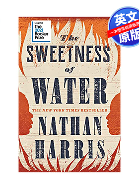 英文原版 水的甜蜜 The Sweetness of Water  进口英文版书籍