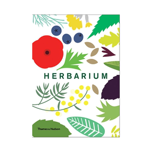 英文原版 Herbarium 植物标本 插图版香草认知百科读物 腊叶集 学习参考指南书 T&H