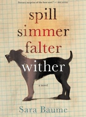 现货英文原版 泄漏、炖、摇摆、枯萎 Spill Simmer Falter/Sara Baume 进口书 正版