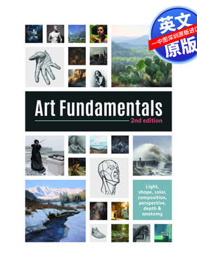 英文原版 艺术基础Art Fundamentals 2nd edition 第二版 光 形状 颜色 透视 深度 构图 英文版进口原版书籍 进口正版书