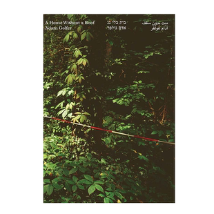 英文原版 亚当·高尔夫:没有屋顶的房子 Adam Golfer: A House Without a Roof