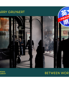英文原版 哈利·格鲁亚特:两个世界 摄影集 Harry Gruyaert: Between Worlds 进口原版摄影艺术图书 正版