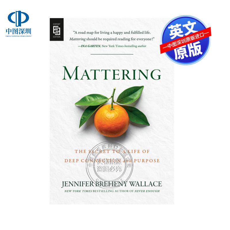 现货英文原版 Mattering 存在之重 BREHENY WALLACE  JENNIFER 英文图书