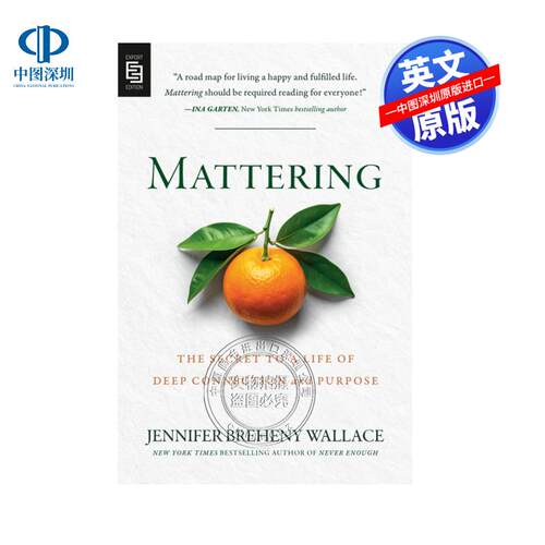 预售英文原版 Mattering 存在之重 BREHENY WALLACE  JENNIFER 英文图书