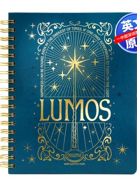 预售英文原版 哈利波特:魔咒和魔药12个月计划表笔记本Harry Potter: Spells and Potions 12-Month Undated Planner进口