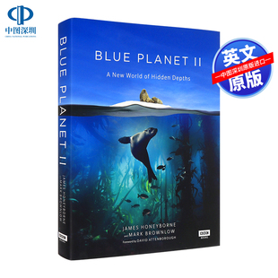 科普读物 詹姆斯霍尼伯内 海洋生物纪实 Planet BBC纪录片 Blue 进口书籍正版 现货英文原版 全彩精装 海洋百科：蓝色星球