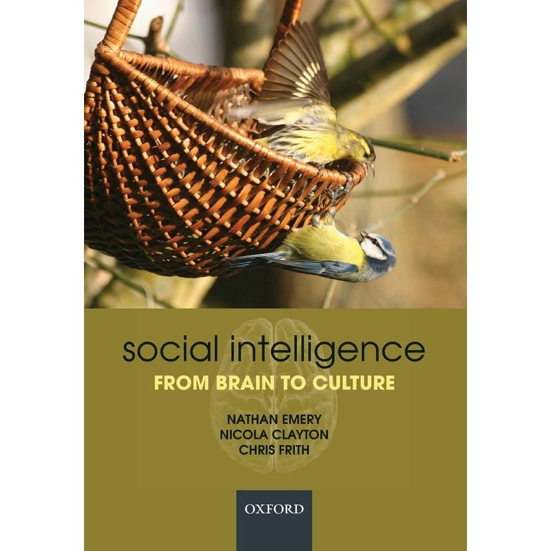 预售【按需印刷】英文原版 Social Intelligence from Brain to Culture 从大脑到文化的社交智慧 牛津大学出版 原版进口正版书籍