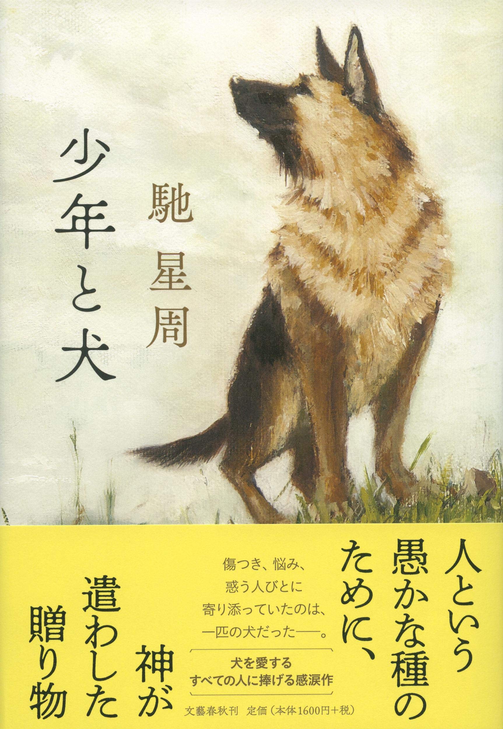 预售【深图日文】【第163回 直木賞受賞作】少年と犬 第163届直木奖获奖作品 少年和狗 馳星周 文库文学 文藝春秋 日本原装进口书