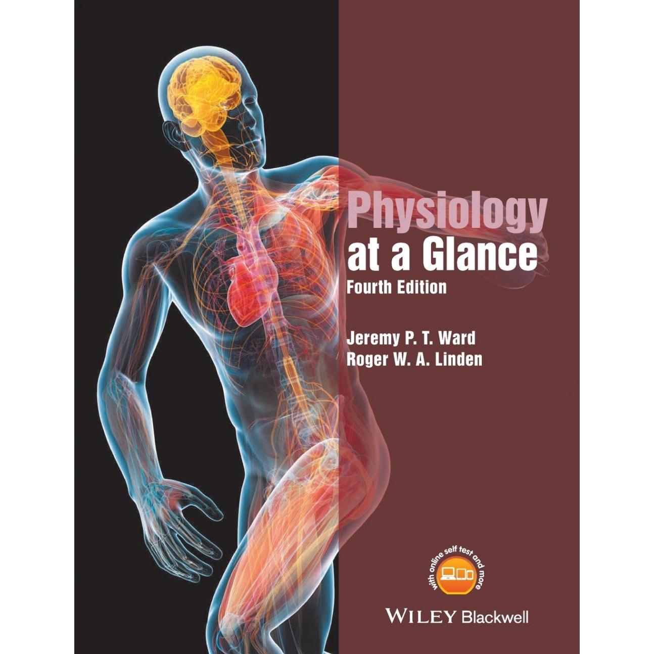 【预售 按需印刷】英文原版生理学概览 第4版Physiology at a Glance 4e原装进口正版书籍