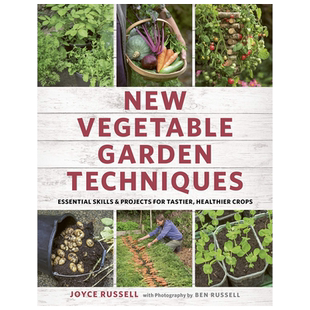 英文原版 新的菜园技术 New Vegetable Garden Techniques: Essential skills and projects for tastier, healthier crops