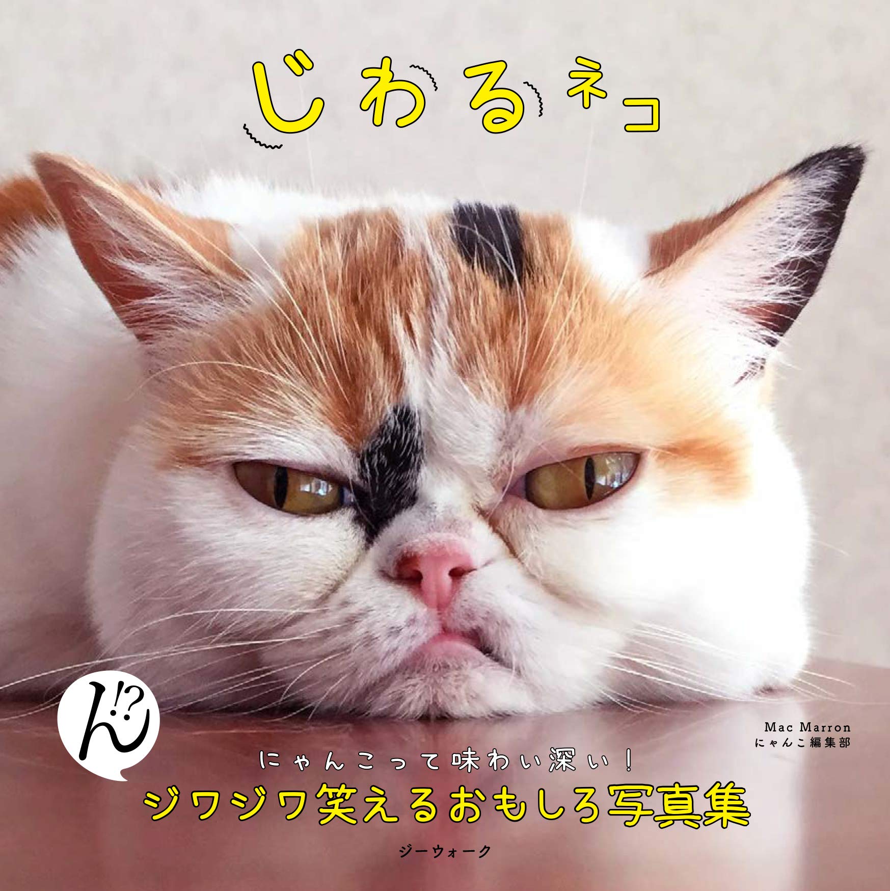 【预售深图日文】じわるネコ 猫咪摄影集  Ｍａｃ Ｍａｒｒｏｎ／著 萌宠写真  にゃんこ編集部 ロングランドジェイ 日本进口书籍