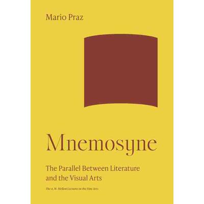 【预售 按需印刷】英文原版 Visionary and Dreamer幻想家和梦想家 普林斯顿大学出版 原装进口正版书籍