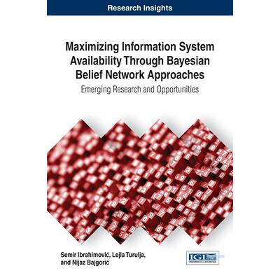 【预售 按需印刷】英文原版通过贝叶斯信念网络方法最大化信息系统可用性Maximizing Information System Availability Through Ba