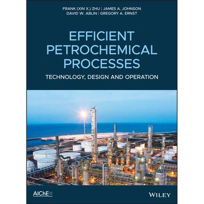 【预售 按需印刷】英文原版高效的石化过程CEfficient Petrochemical Processes C原装进口正版书籍
