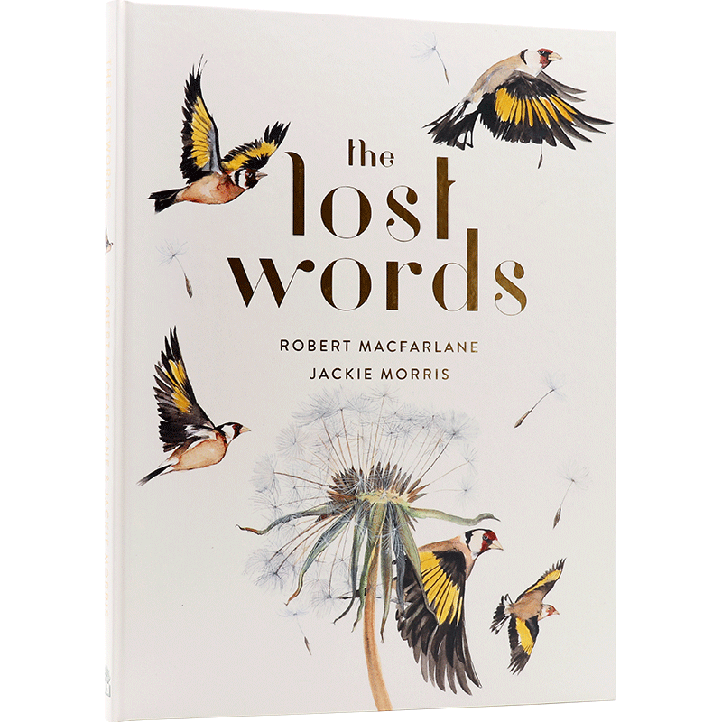 英文原版 The Lost Words 精装大开本 少儿儿童绘本读物动植物水彩 手绘插画 画册 画集 Jackie Morris进口畅销书籍正版