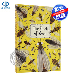 关于蜂蜜 Hudson 正版 书 Bees Book Ltd Piotr 儿童读物 皮奥特‘索查 Thames The 预售原装 英文原装 Socha