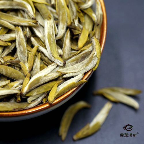 厂长亲制十窨茉莉雀舌白毫银针