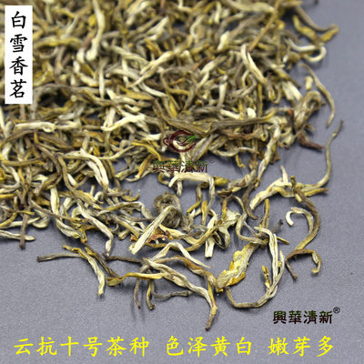 浓香大白毫茉莉花茶云南茶