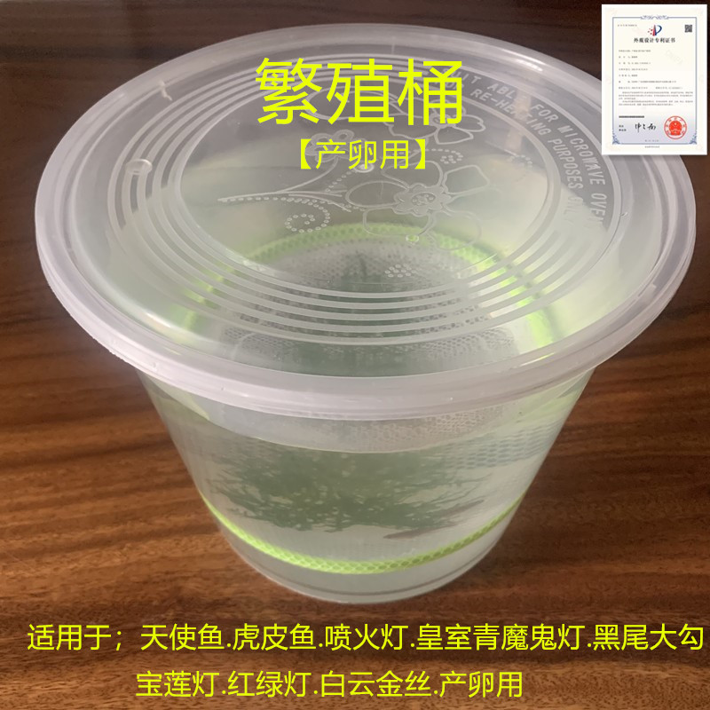 天使鱼繁殖桶喷火灯鱼繁殖孵化器斑马鱼产卵桶隔离网虎皮鱼产卵桶