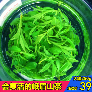 小叶苦丁茶小苦丁茶青山绿水茶叶峨眉山2025新茶250g