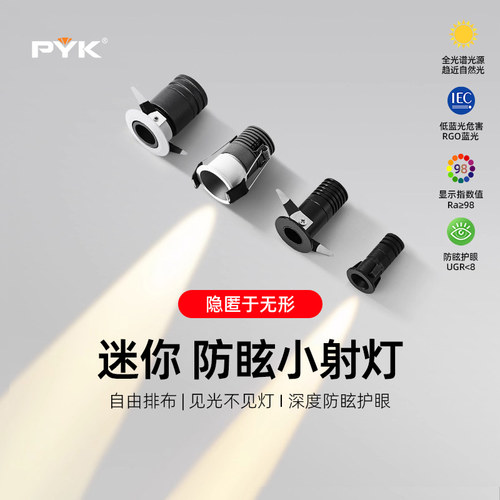 迷你小射灯嵌入式一束聚光LED满天星筒灯牛眼灯洞孔1W微型2/3口径