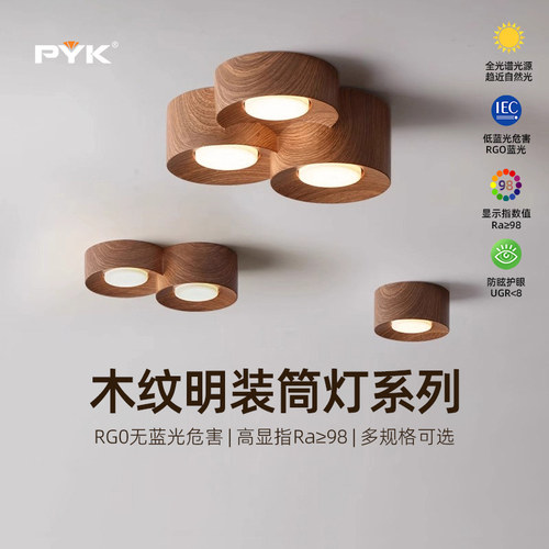 全光谱护眼明装筒灯双头斗胆灯无主灯客厅照明入户玄关走廊过道灯