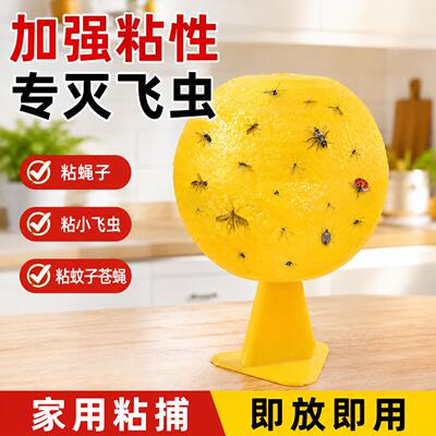 果蝇诱捕器小飞虫灭杀神