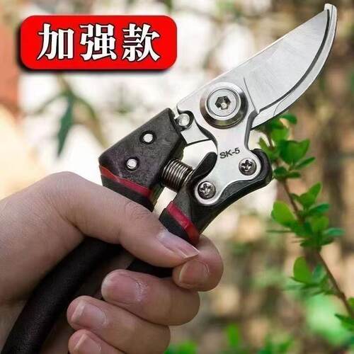 工艺剪树剪子德系果枝枝