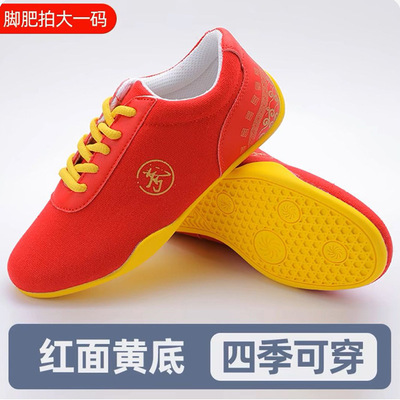 劲极儿童软底透气武术太极鞋夏季