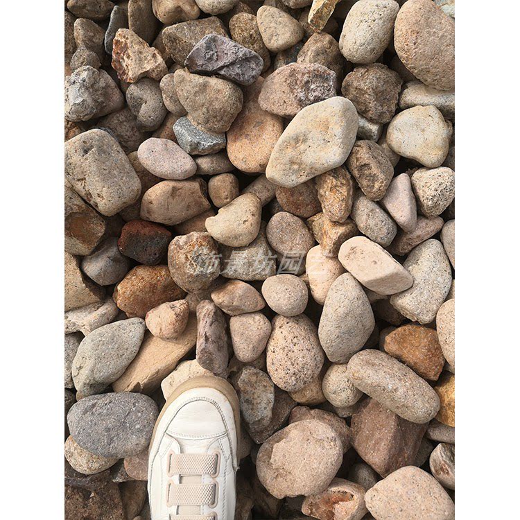 鹅卵石小河卵石河滩石庭院造景铺路花园花坛公园园林景观石材统货