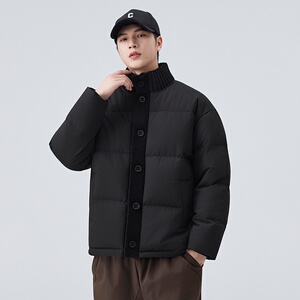 1404-2-9837-p90--2025休闲宽松 青少年百搭90绒羽绒服图片