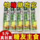 四川苦荞挂面无糖精荞麦面条血糖高控糖吃 主食糖人专用粗粮早餐