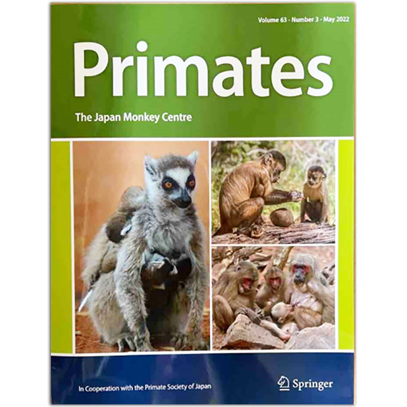 灵长目动物研究Primates