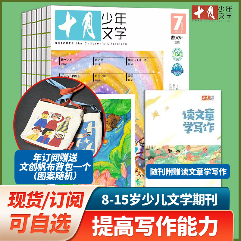 儿童文学书文摘书籍十月少年