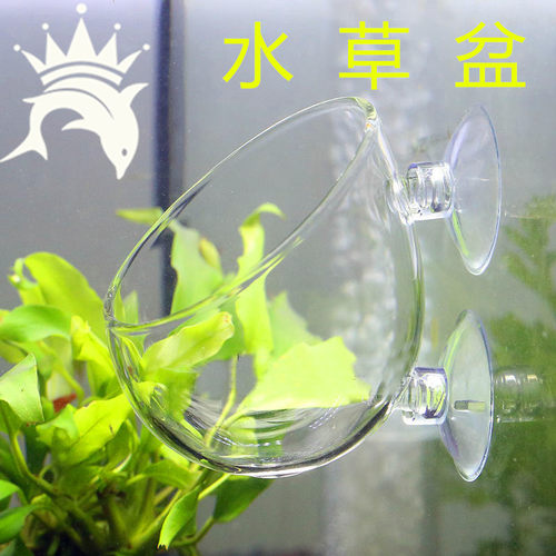 鱼缸装饰水草种植杯玻璃