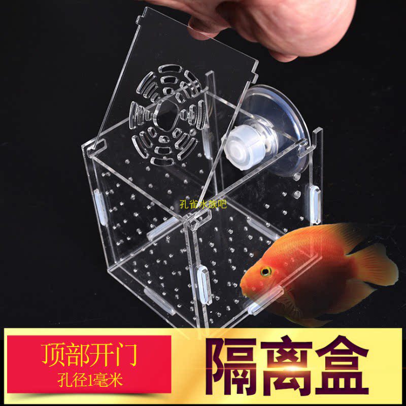 隔离盒鱼缸透明水族孵化器繁殖图片