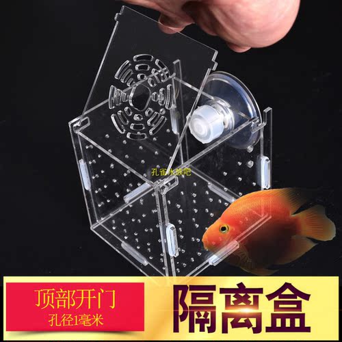隔离盒鱼缸透明水族孵化器繁殖