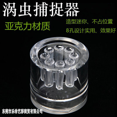 涡虫捕捉水蛭蛋白8孔鱼缸