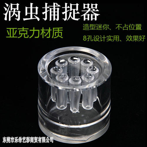 涡虫捕捉水蛭蛋白8孔鱼缸