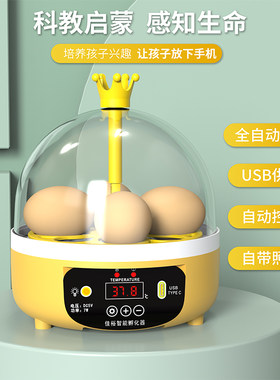 佳裕儿童科教实验全自动孵化器