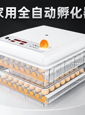 家用鸡蛋孵化器全自动孵蛋器